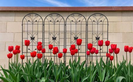4 Pack Metal Garden Trellis 86.7" x 19.7" Rustproof Trellis for Climbing Plants Outdoor Flower Support (Color: Black)